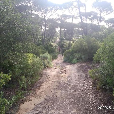Casa Rural Los Pinos Hinojos Kültér fotó