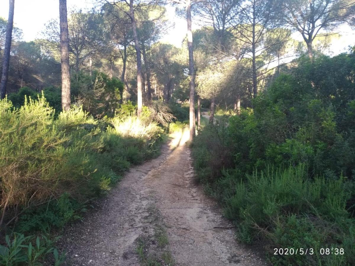 Casa Rural Los Pinos Hinojos Kültér fotó