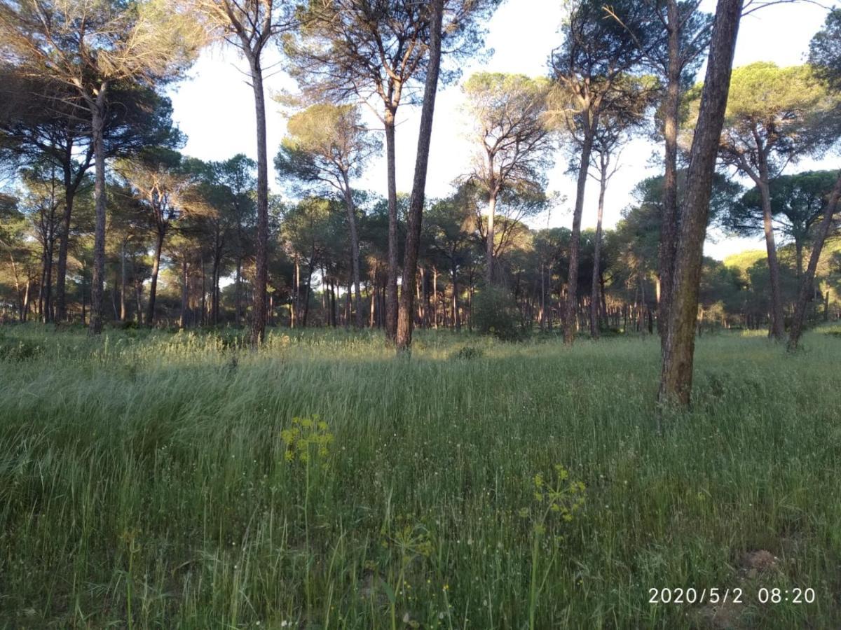 Casa Rural Los Pinos Hinojos Kültér fotó