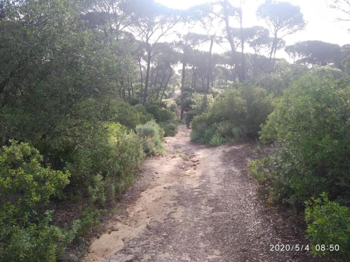Casa Rural Los Pinos Hinojos Kültér fotó